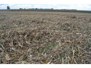 Property photo 74 - EHLE FARMS AUCTION - 118+/- ACRES IN 9 TRACTS IN ALLEN COUNTY, INDIANA